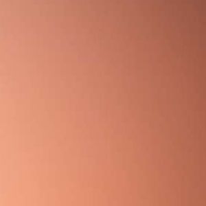 Meet your Posher, Tennisha